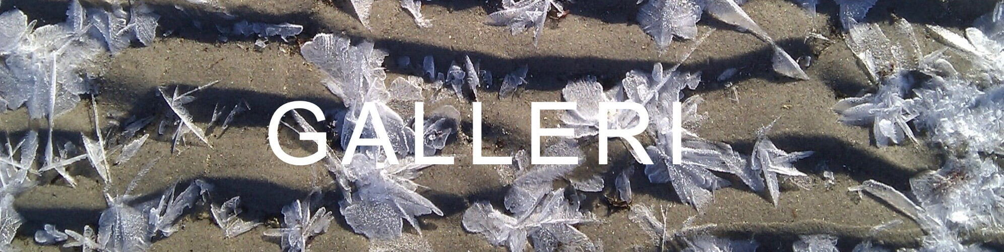 Billede 02.01.2024 kl. 22.55